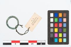 Foto von Bronzering (NHMW-PRAE-024026)